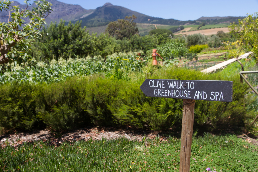 Babylonstoren garden