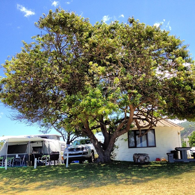 camping near george south africa