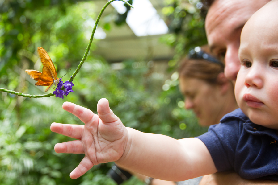 cute baby with butterfly