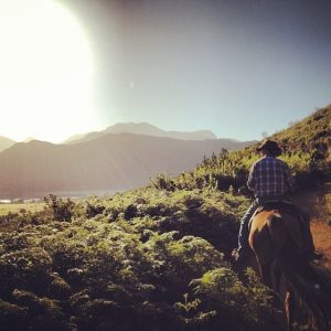 horseback riding south africa