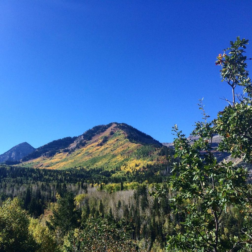 Alpine Loop Utah