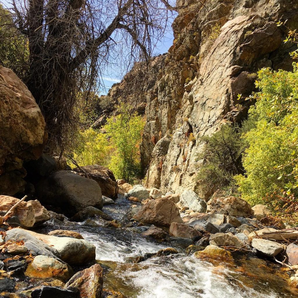 Big cottonwood canyon