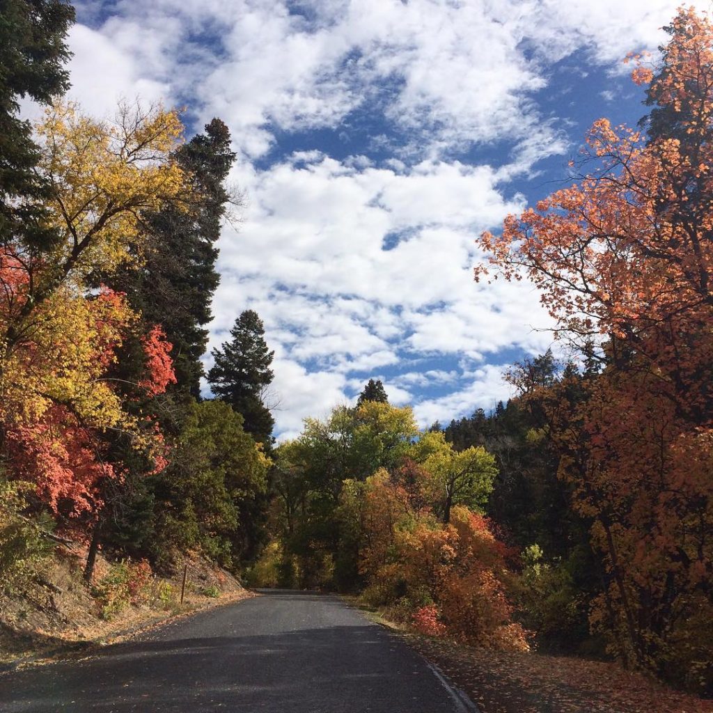 Mount Nebo Loop