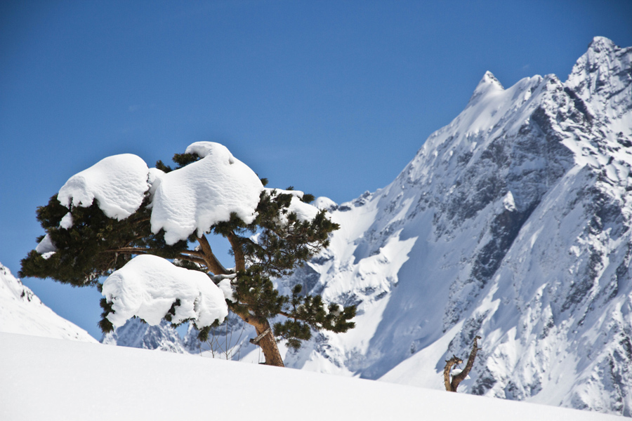 mountains in the Caucasus