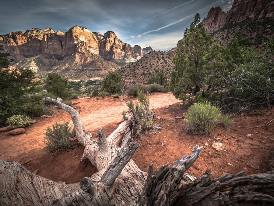 Zion national park