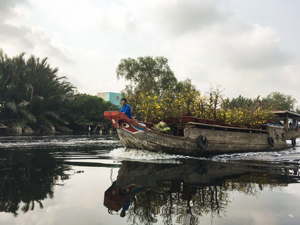 boat with Tet trees