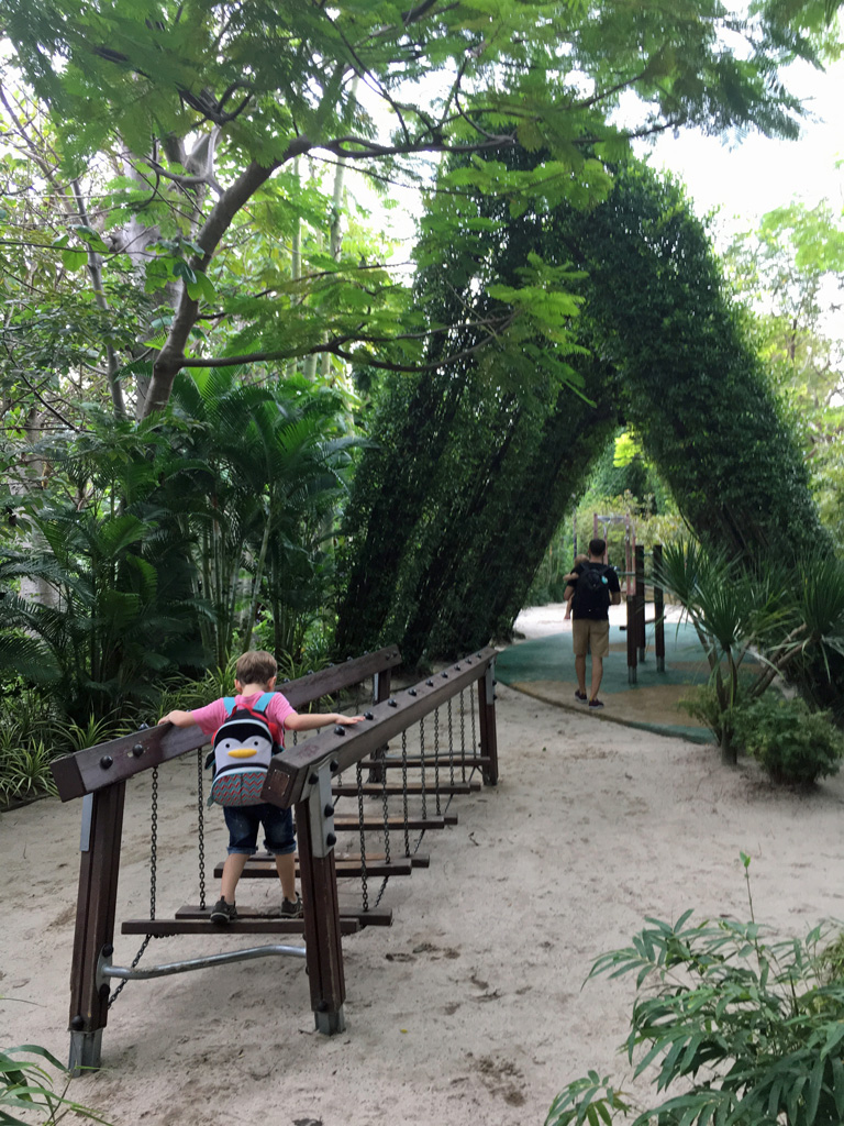 Big kids play area Gardens by the Bay