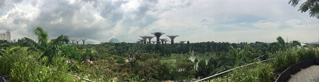 Gardens by the Bay Panorama