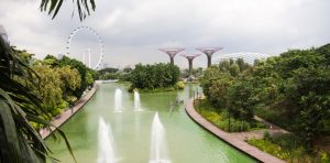 Singapore gardens by the bay super tree grove