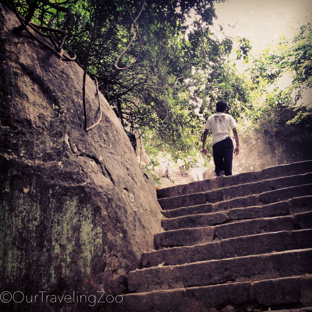 Stairway to Dambulla Temple in Sri Lanka