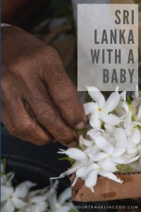 Sri Lanka was our first international trip with a baby. Can you travel to Sri Lanka with a baby? We sure think so!