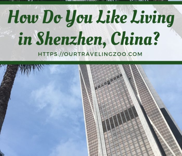 How do you like living in Shenzhen, China