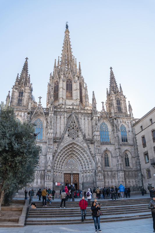 The construction of Barcelona Cathedral began back in the 13th century and some additions were made as late as 1913. The main draw of the cathedral for the kids are... the 13 white geese kept in the cloister