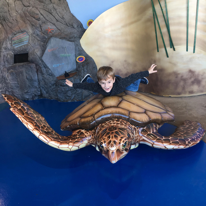 Visiting Barcelona Oceanarium with little kids