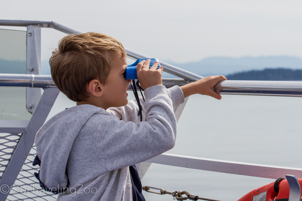 Boy looking at the sea through the binoculars