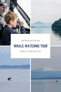Whale Watching Tour directly from Seattle with Clipper Vacations