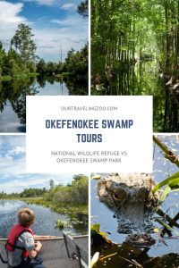 Okefenokee Swamp Boat Tour