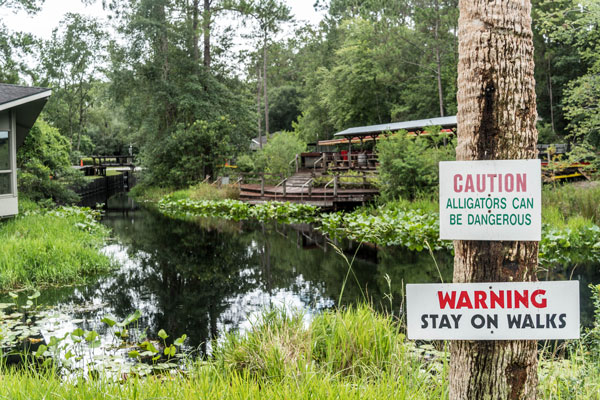 Alligator Warning Sign