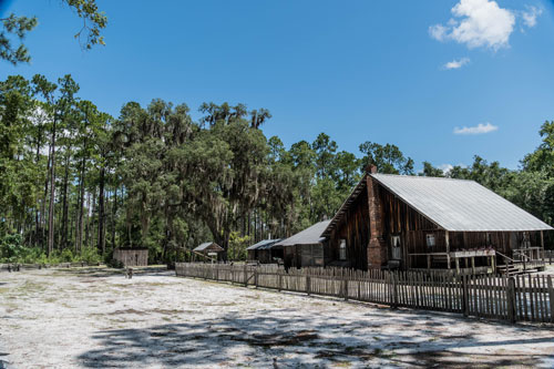 Chesser Island Homestead