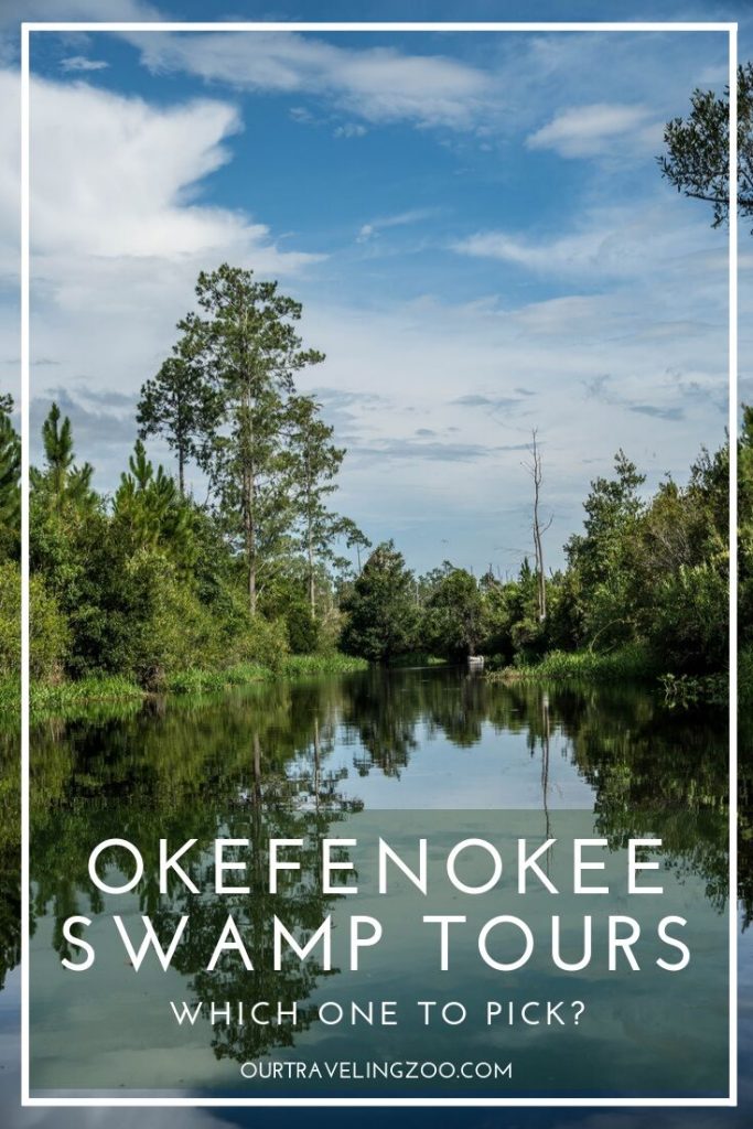 best okefenokee swamp tours