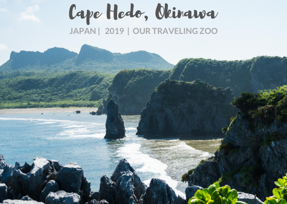 View of Coastline from Cape Hedo