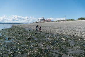 beach at discovery park