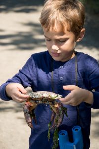 boy holding a big crab