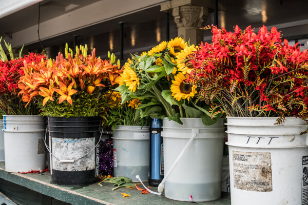 flowers for sale at a market