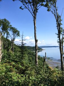 visiting Discovery Park is one of the six things to do if you visit Seattle
